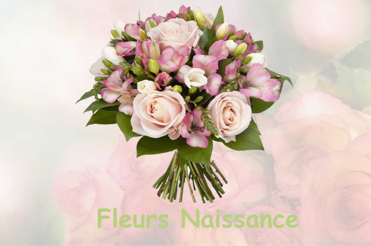 fleurs naissance BEUVRY-LA-FORET